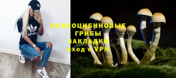 тгк Алексеевка