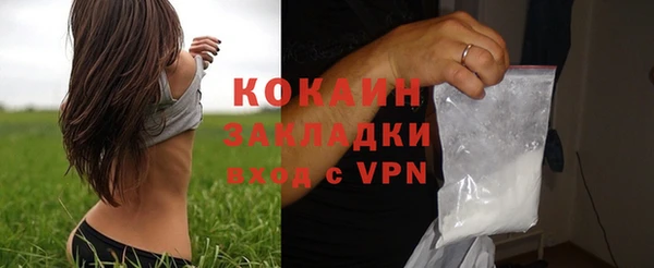 индика Иннополис