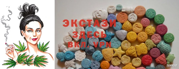 мет Алексин