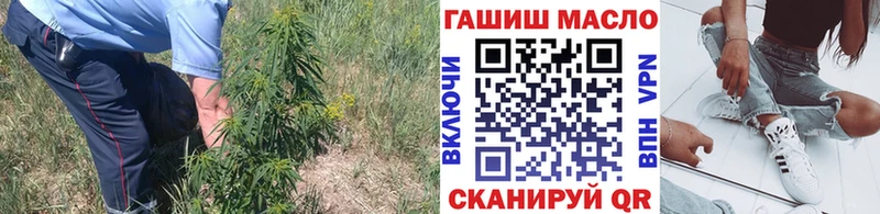 цена   мега как войти  Дистиллят ТГК вейп  Новоалтайск 