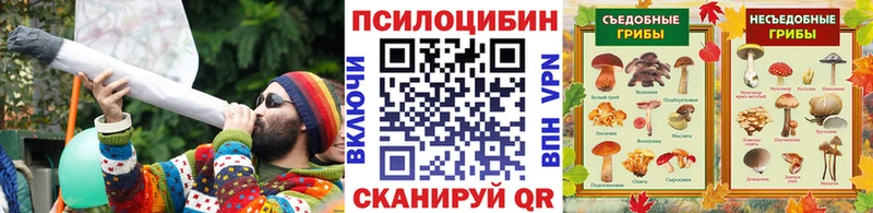продажа наркотиков  Новоалтайск  Псилоцибиновые грибы Psilocybe 
